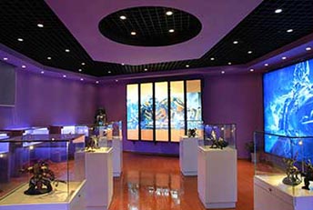 �ؑc���A��X�WУӰҕ�����Α�Ӗ����