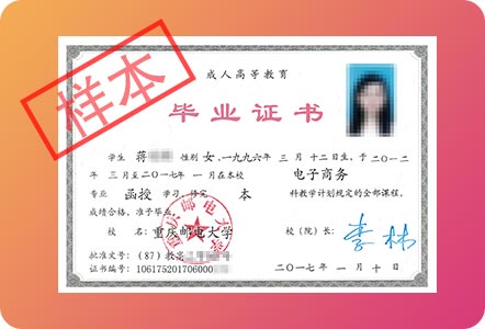 ���I�C������