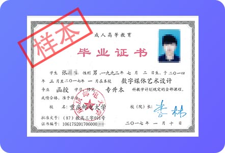 ���I�C������